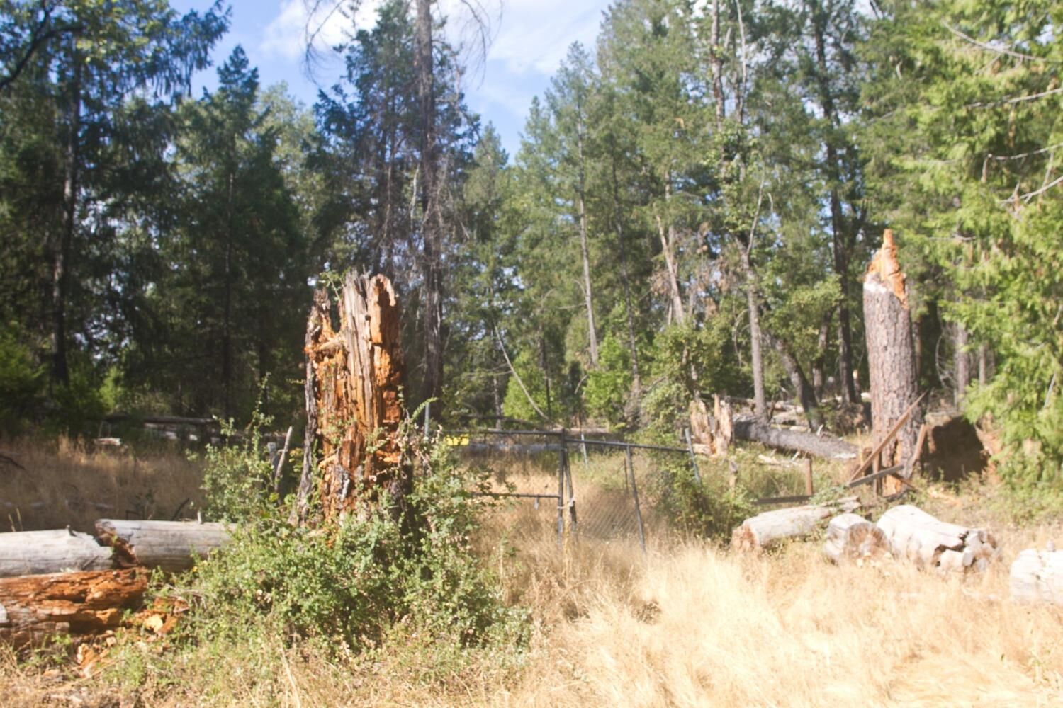 Property Photo:  4801 Coyoteville  CA 95629 