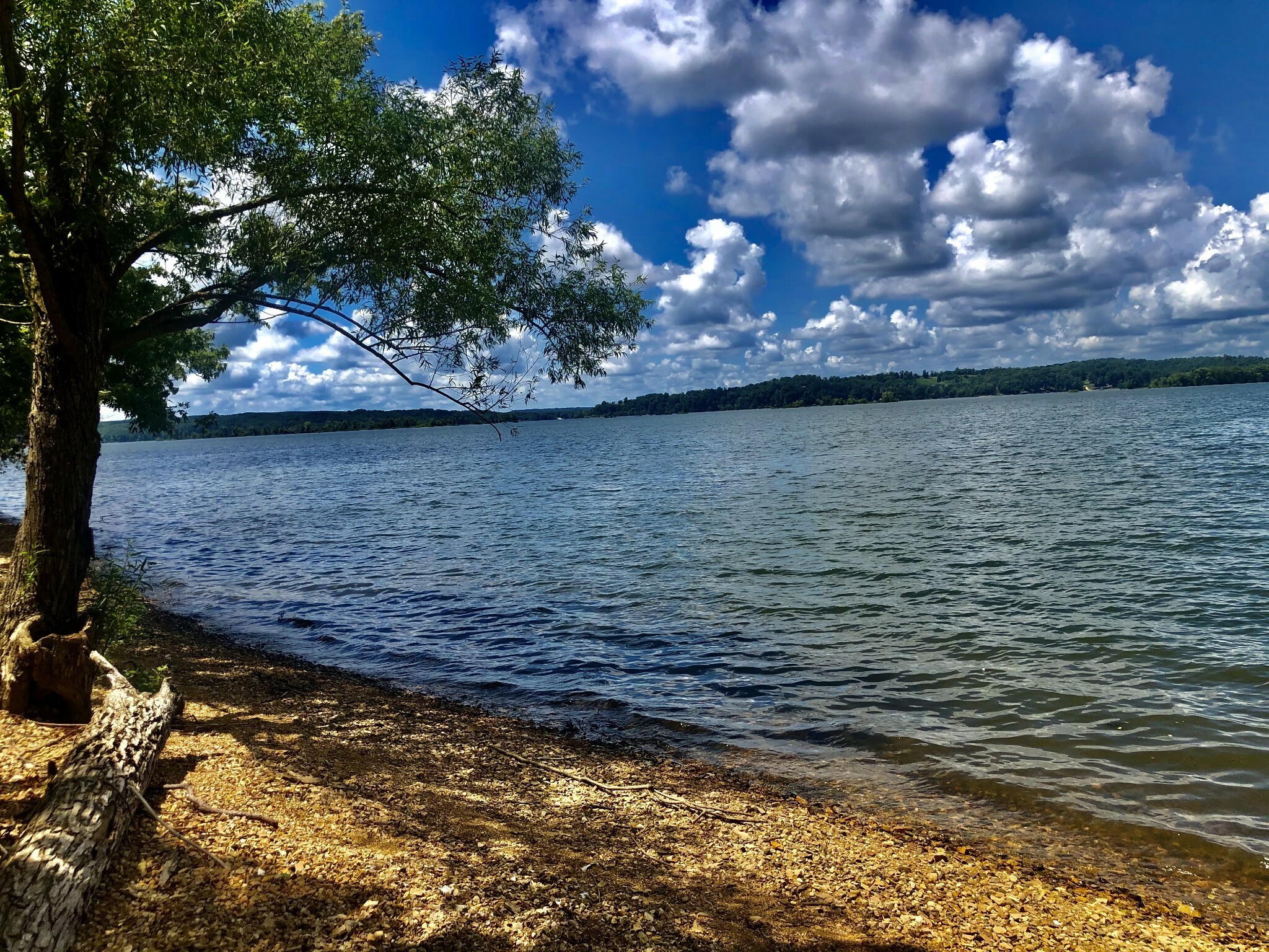 0 Shores Trail  Stewart TN 37175 photo