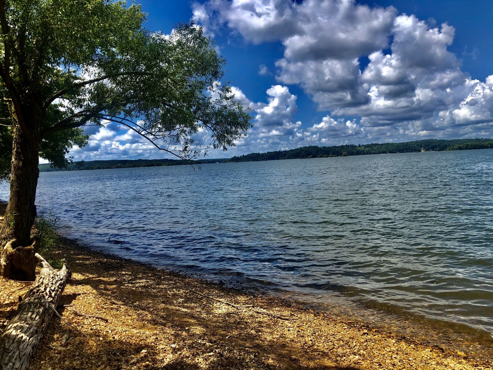 Property Photo:  0 Shores Trail  TN 37175 