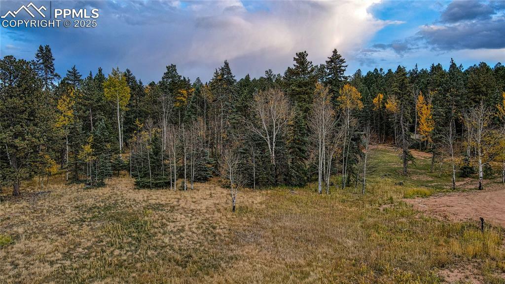 Property Photo: 166 Denwood Drive CO 80816