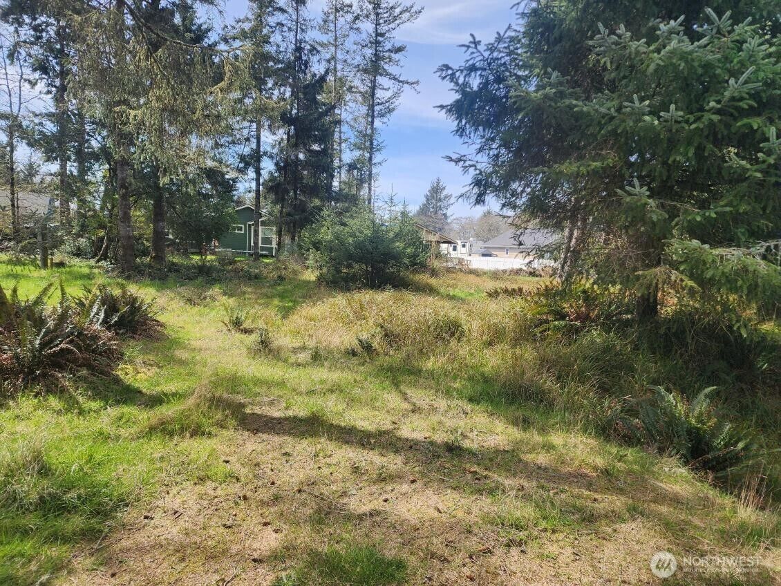Property Photo:  661  Sollecks Avenue SE  WA 98569 