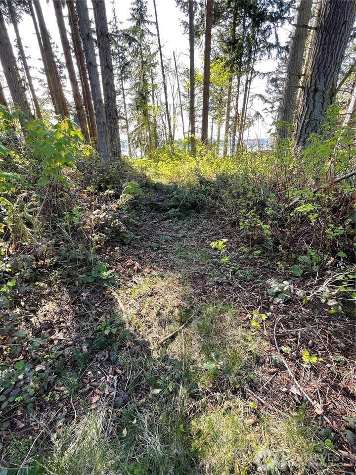 Property Photo:  99 B  Port Gardner Drive  WA 98206 