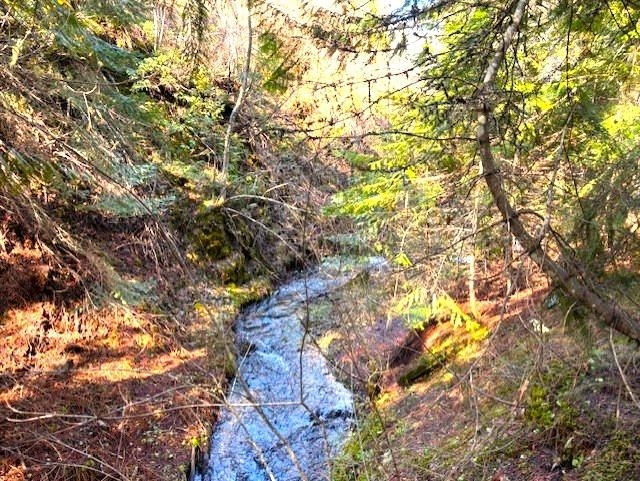 Property Photo: 35xx Mountain View Rd WA 99109