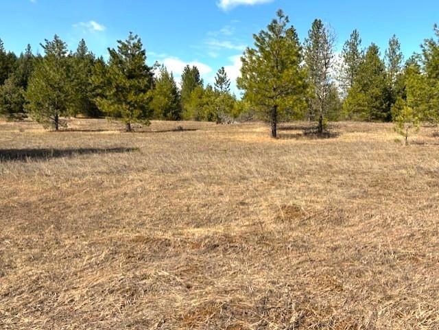 Property Photo:  35xx Mountain View Rd  WA 99109 