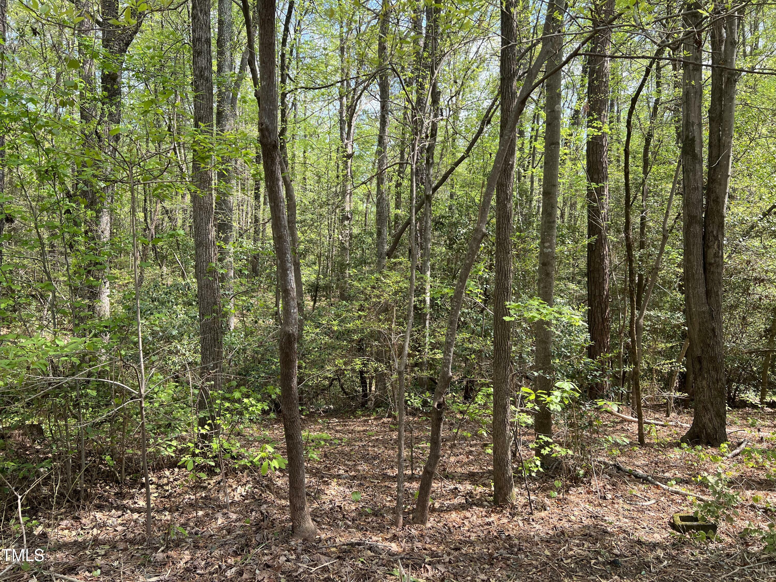 Property Photo: 413 Back Bay NC 27332