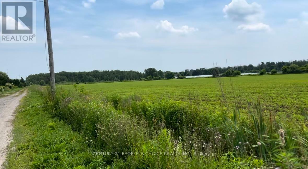 Property Photo:  325 Lipchey Road  ON L3Y 4V9 