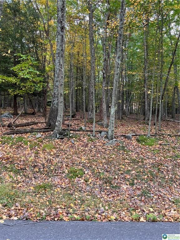 Property Photo: 289 Forest Drive PA 18325
