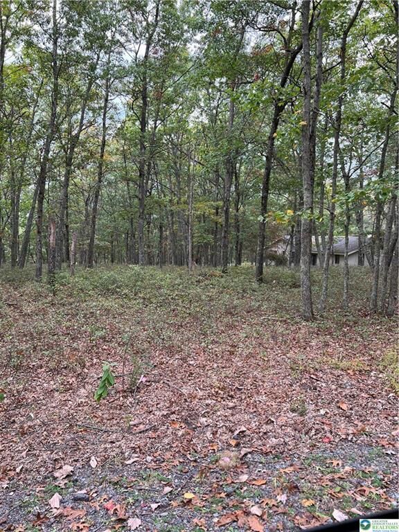 Property Photo: 275 Forest Drive PA 18325
