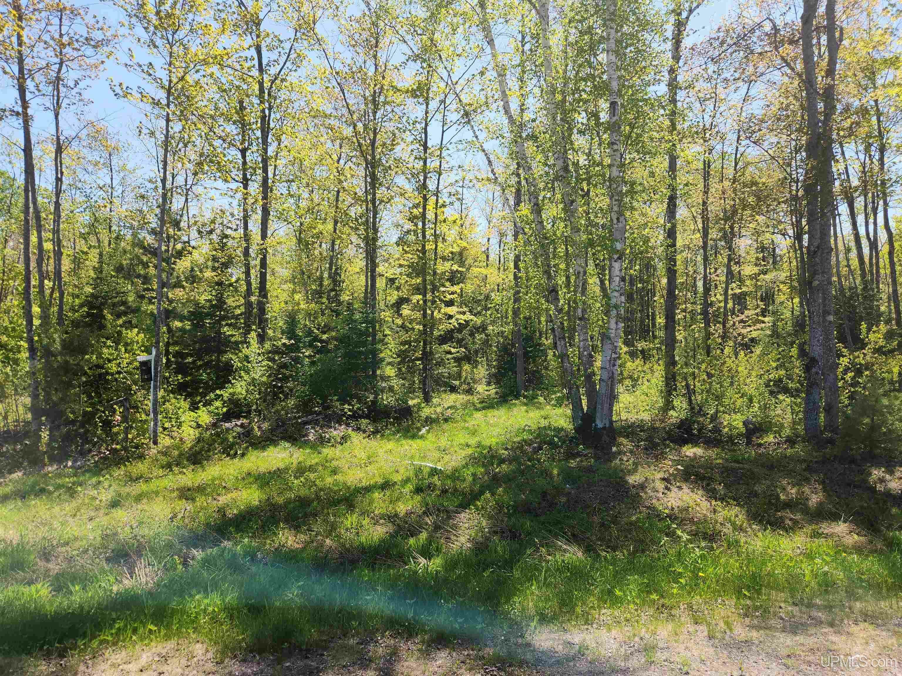 Property Photo: Unit 6 Greenway Drive MI 49916