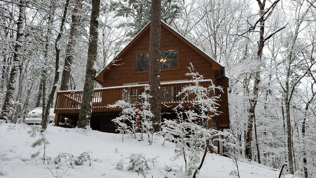 Property Photo:  158 Shotsy Lane  GA 30540 