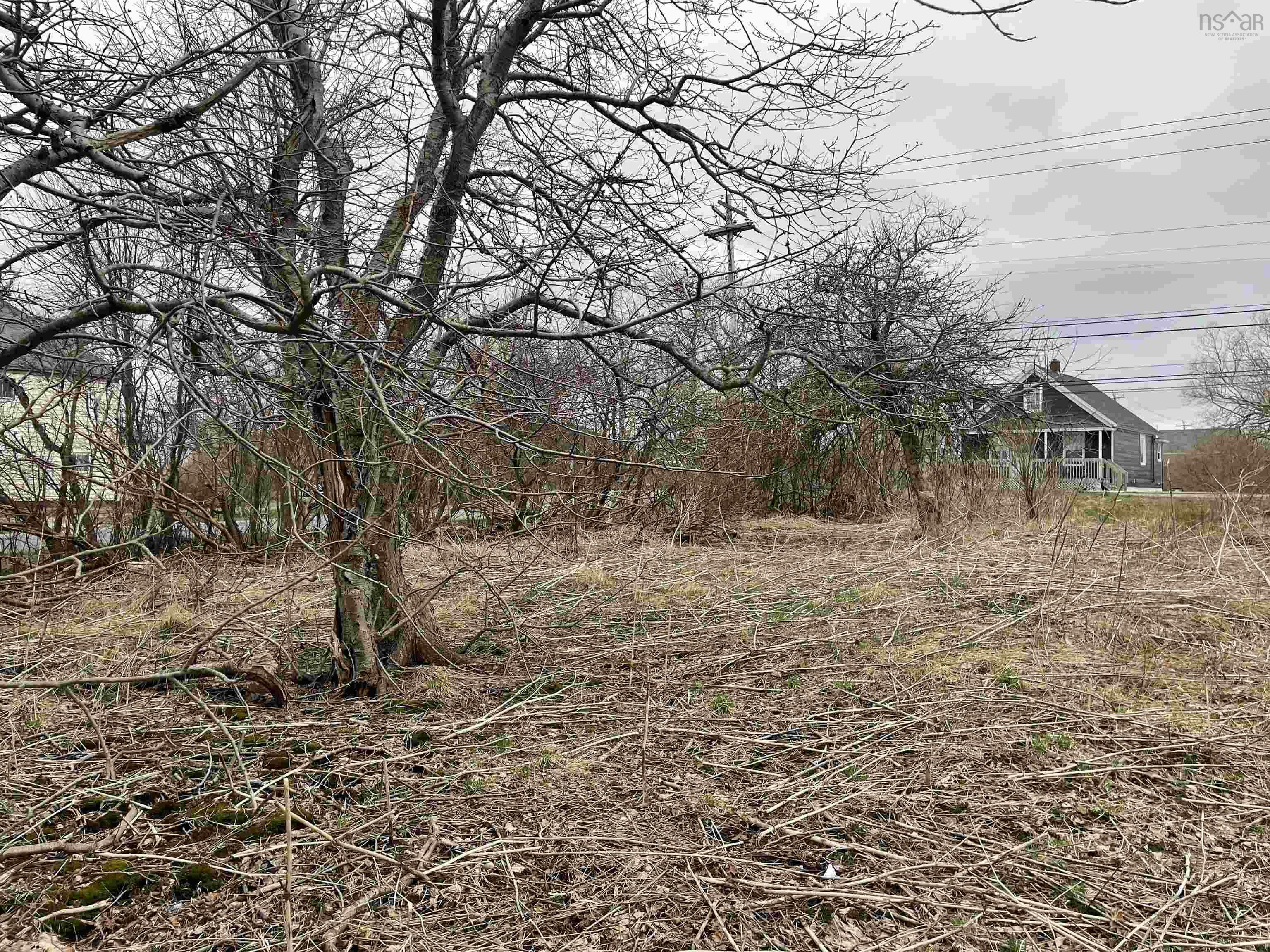 Property Photo:  5225 28 Highway  NS B1H 1E5 