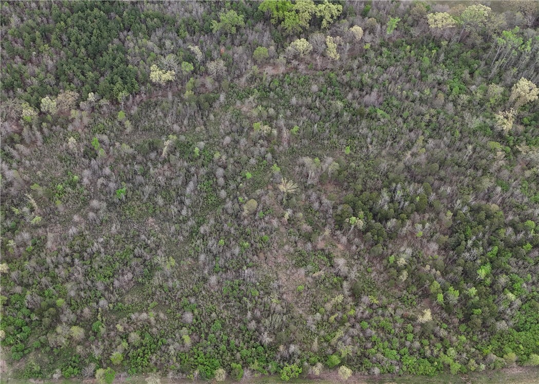 Property Photo: 11.32 Acre County Road 2228 (A) AR 72840