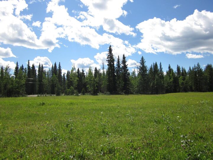 48 Boundary Close  Rural Clearwater County AB T0M 0M0 photo