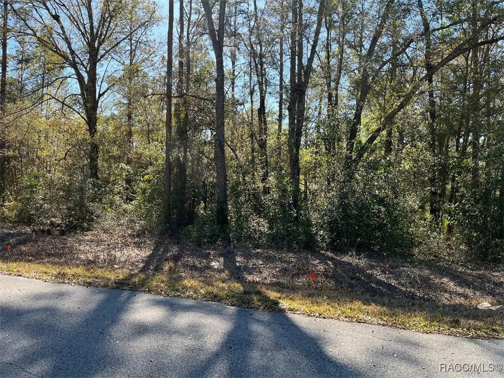 Property Photo: 10848 SE 131 Terrace FL 34431