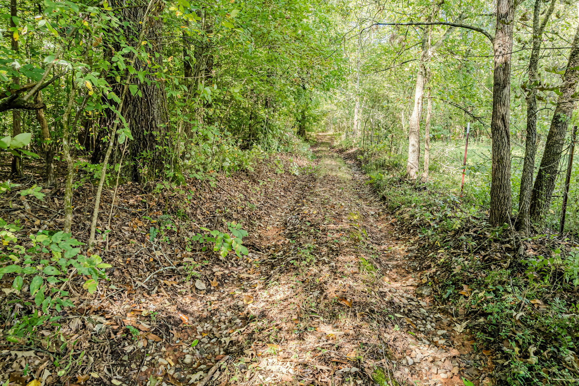 Property Photo: 00 O B Davis Road TN 37325