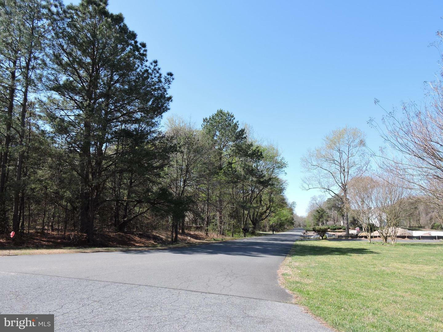 Property Photo: 55 Tidewater Drive DE 19973