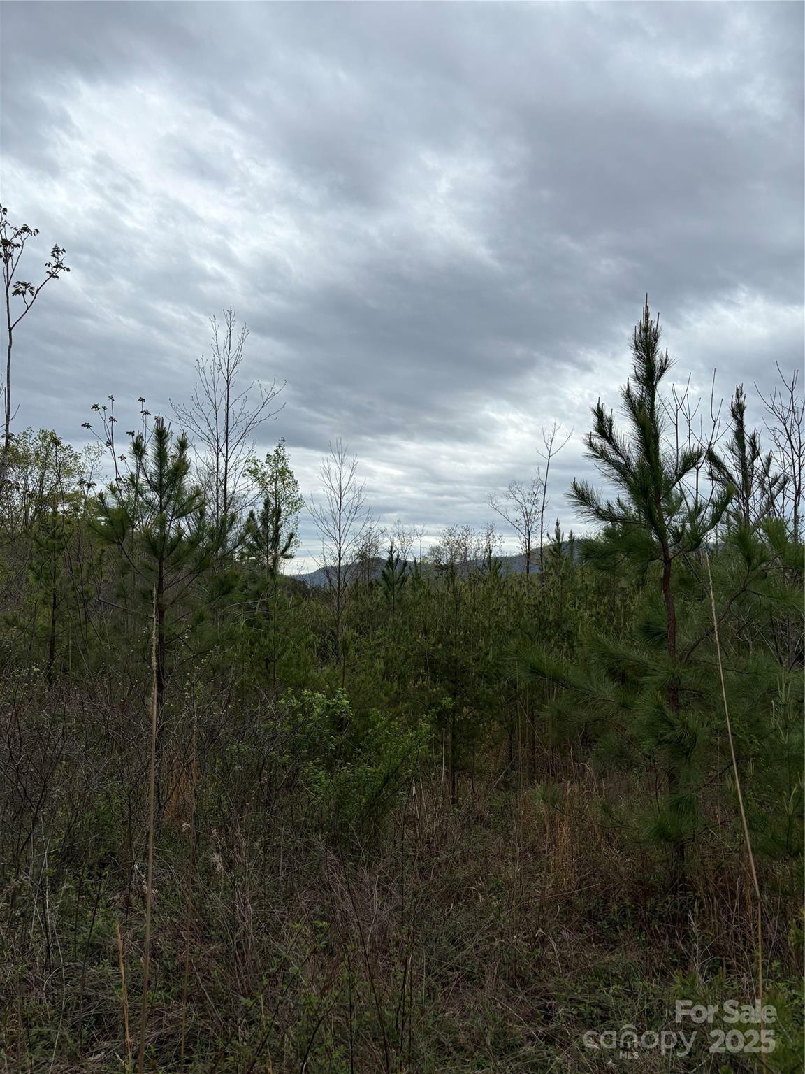 Property Photo:  0 Rose Hollow Drive  NC 28756 