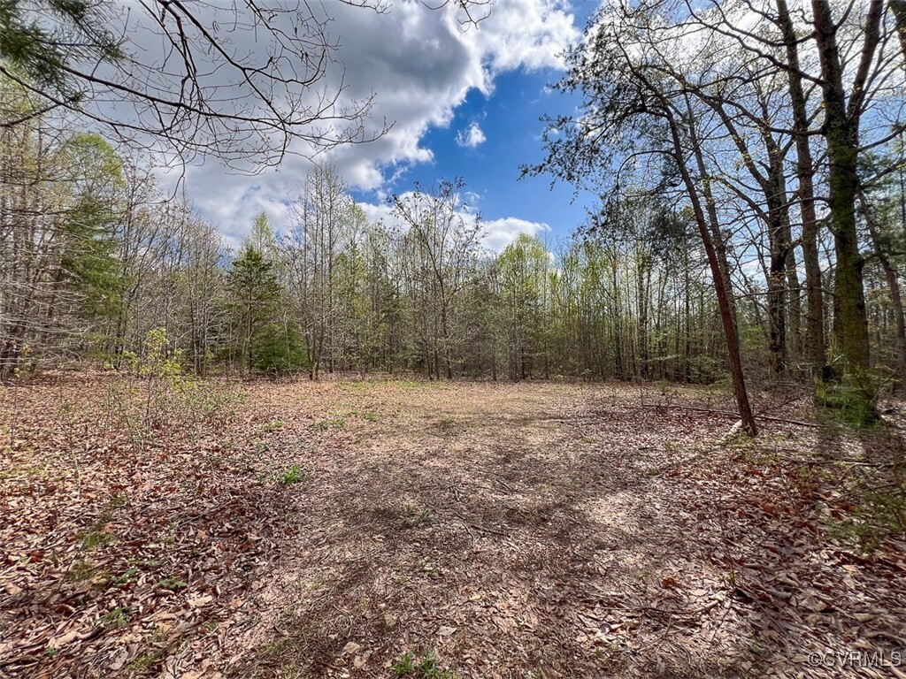 Property Photo: 116.32 Acres Gilliam Mill Road VA 23936