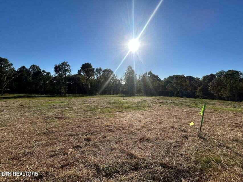 Property Photo: 118 Campbell Way TN 37801