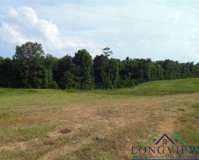 Tbd Cr 161  Carthage TX 75633 photo