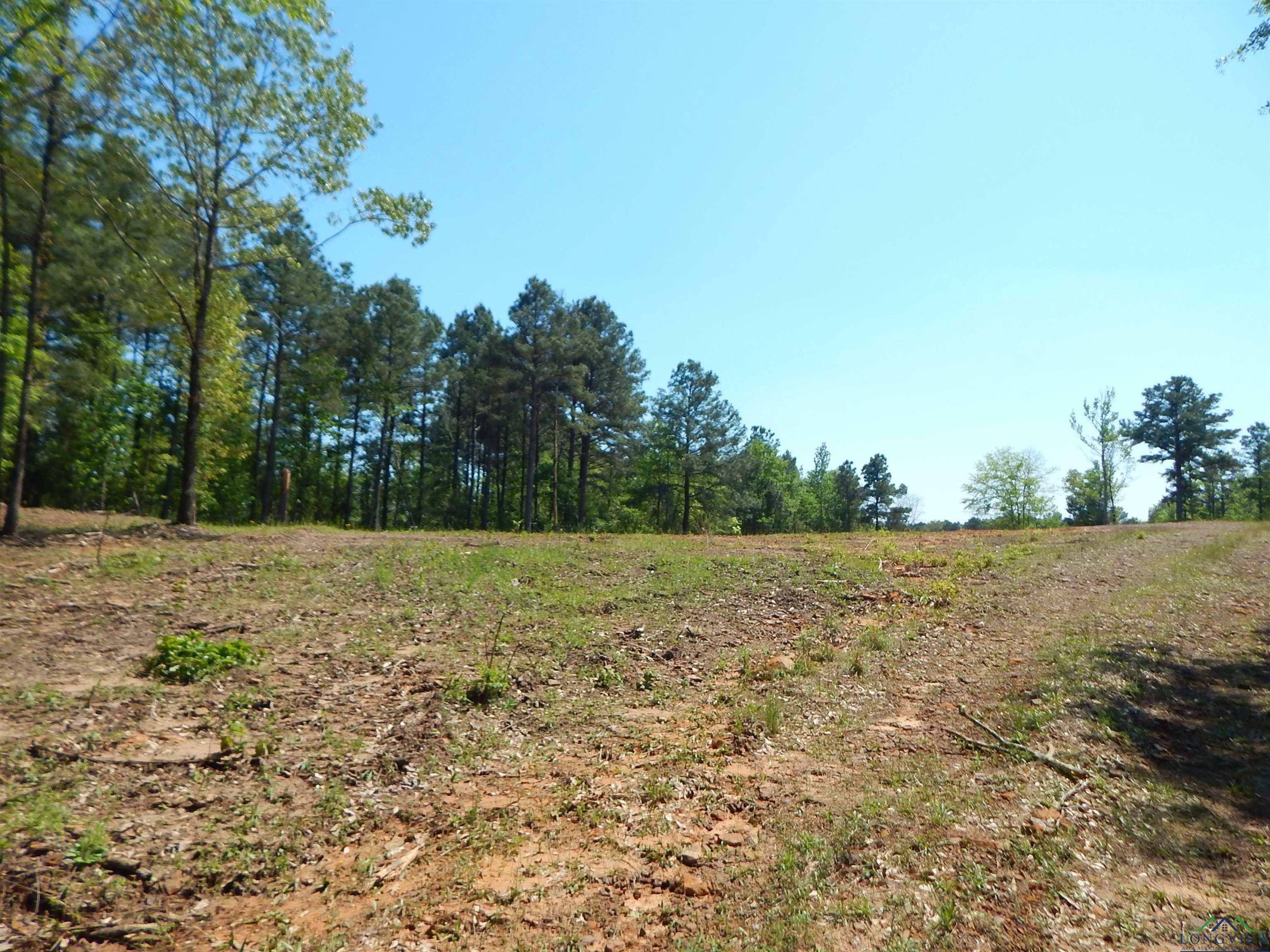 Tbd 15 Acres Fm 1795 Side 1  Big Sandy TX 75755 photo