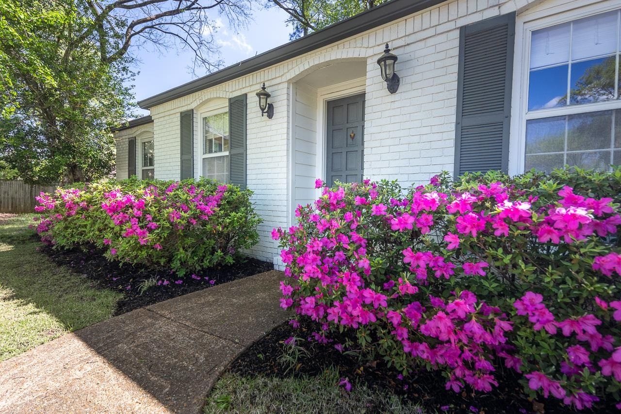 Property Photo: 7932 Falling Leaf Cv TN 38138