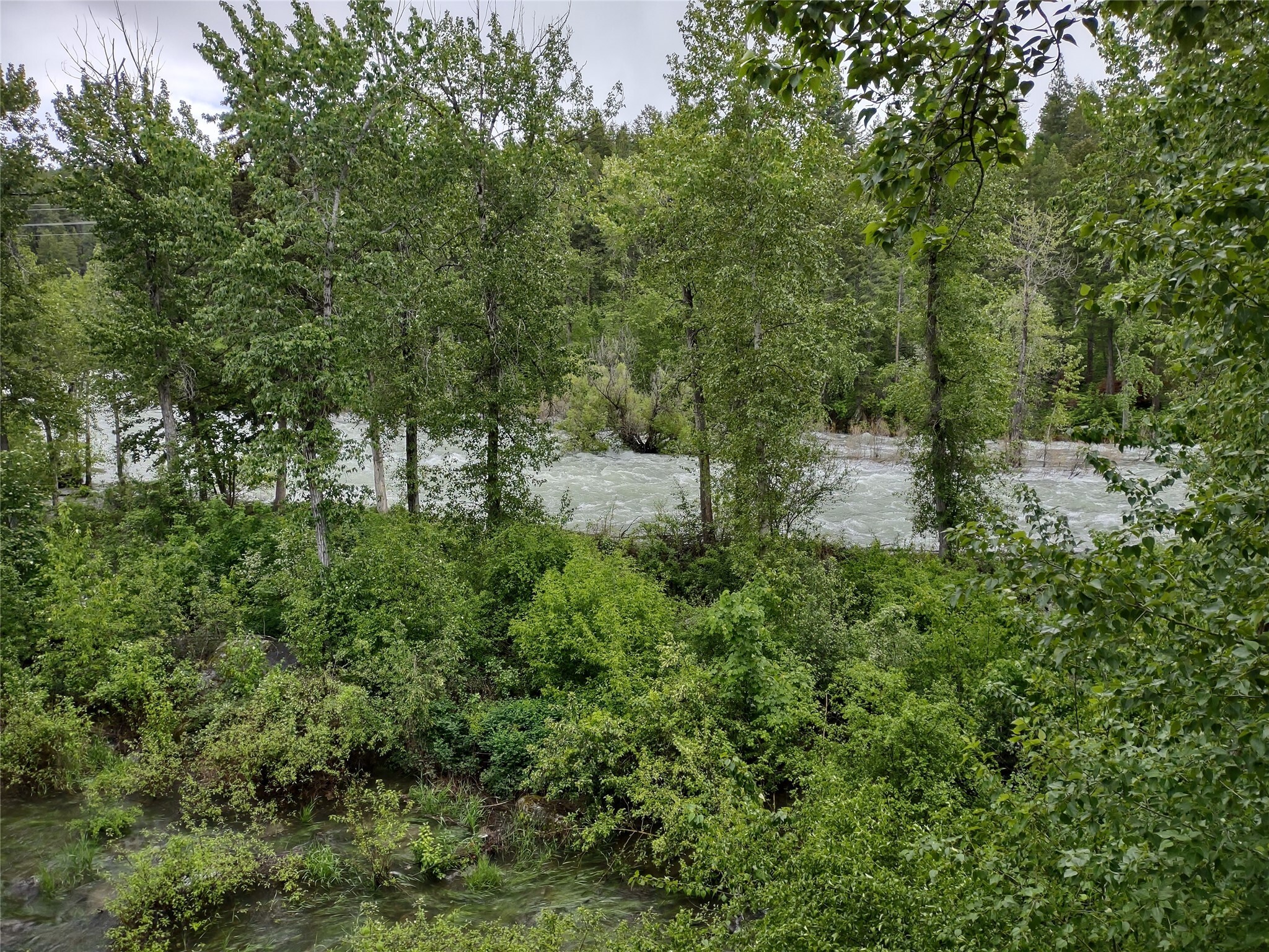 Property Photo: 443 Osborn Avenue 210 MT 59911