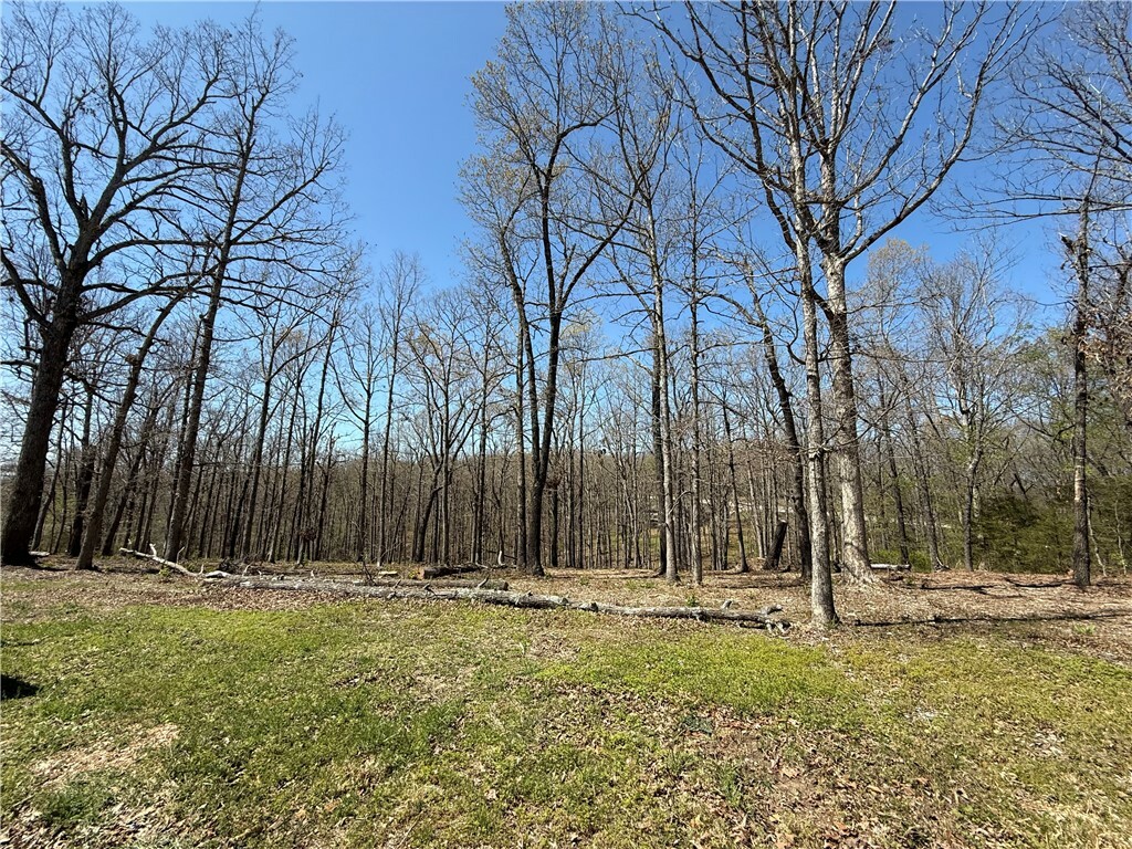 Property Photo:  Tbd County Road 1275  AR 72740 