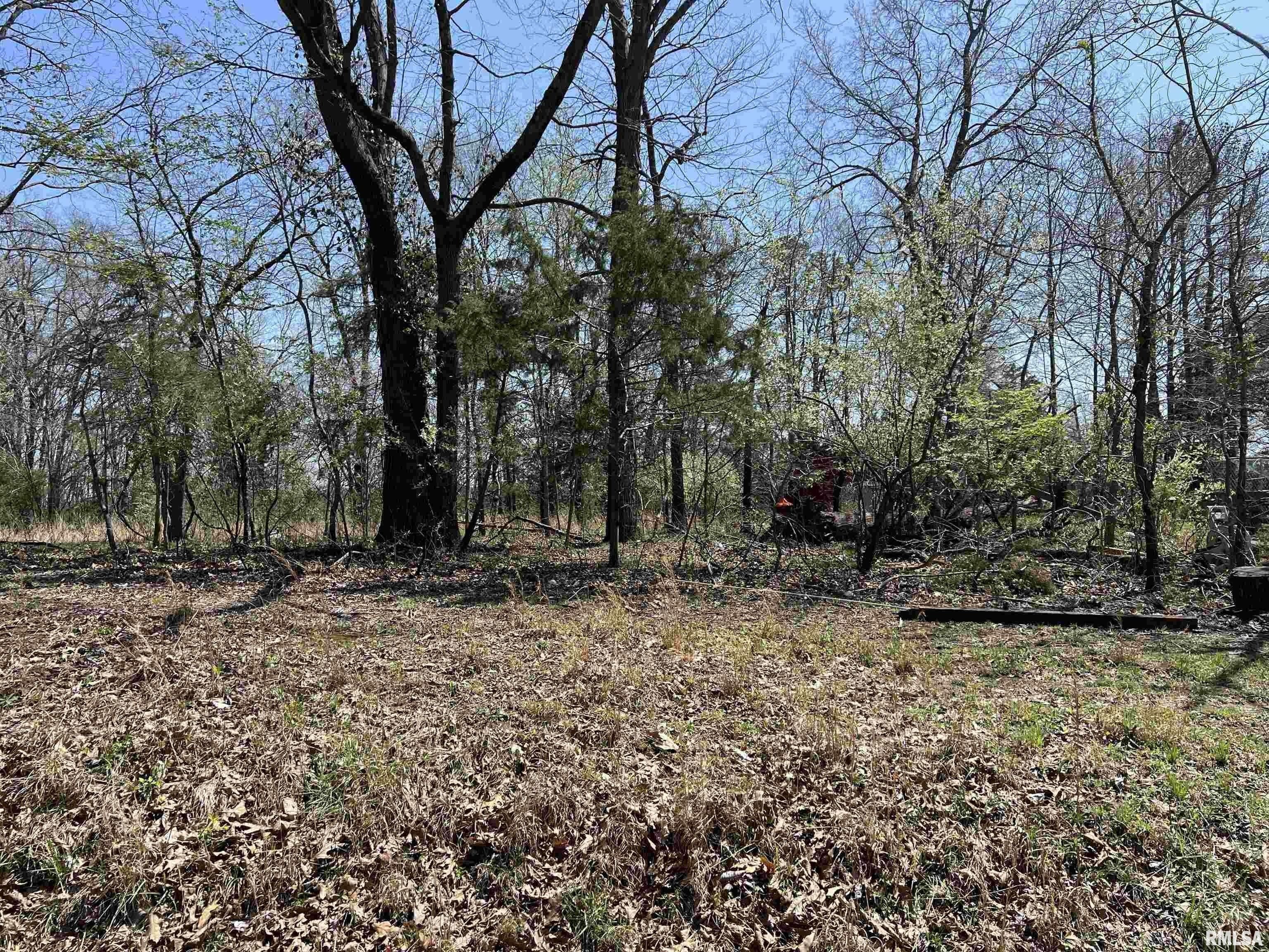 Property Photo: Lot 442 Thompson Drive IL 62939