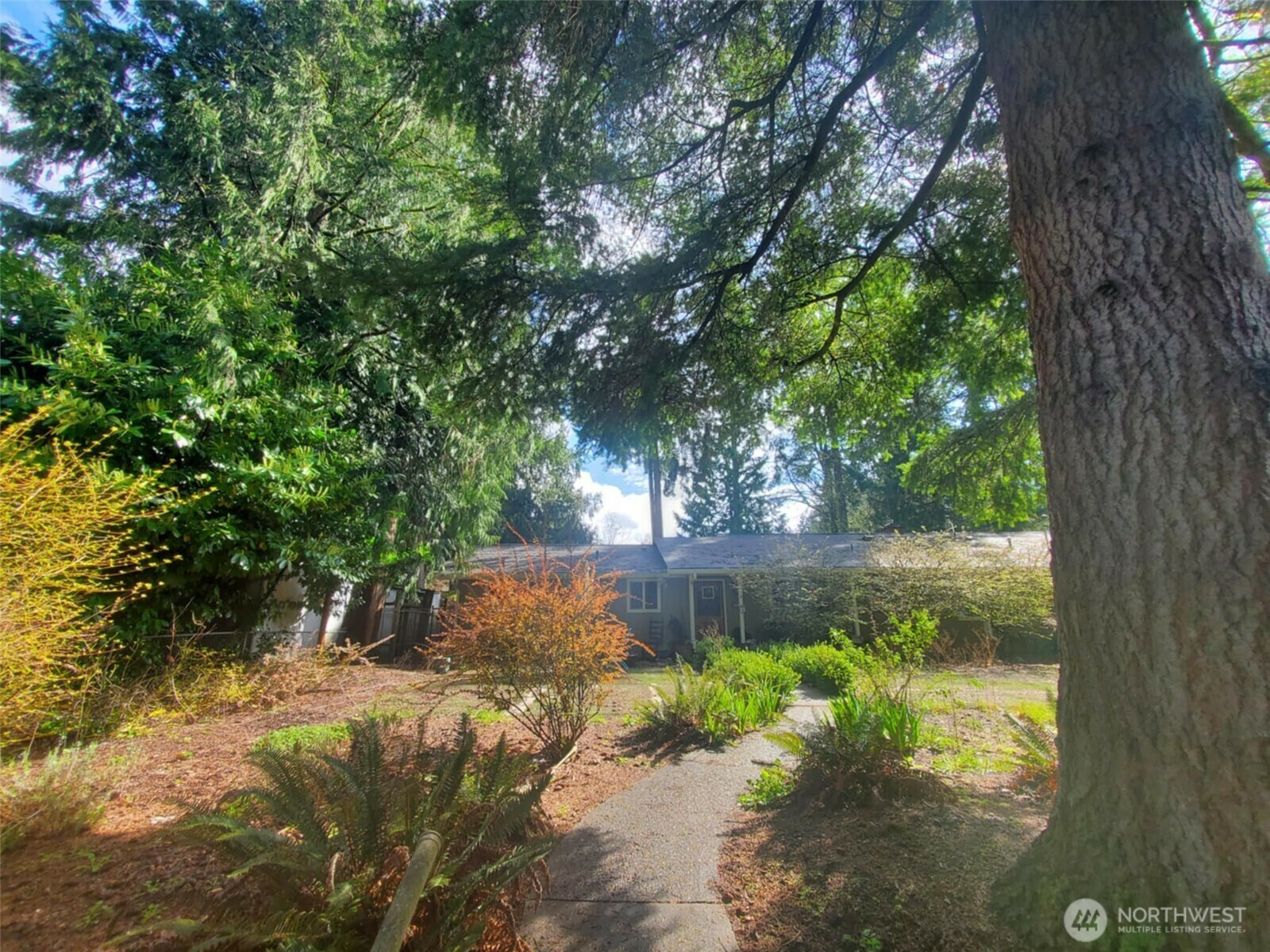 4709 SE 26th Avenue  Lacey WA 98503 photo