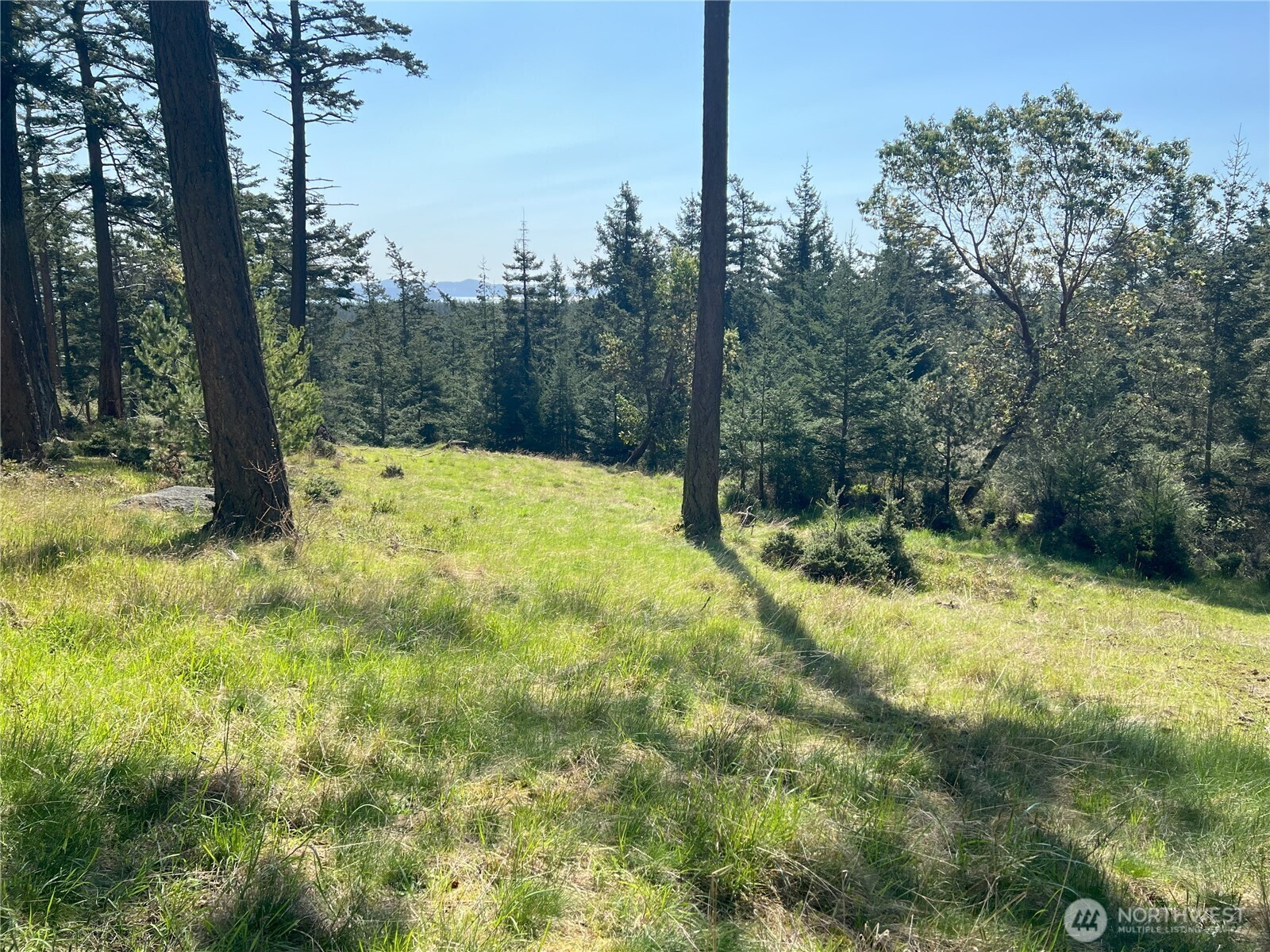 Property Photo:  186  South Ridge Road  WA 98221 