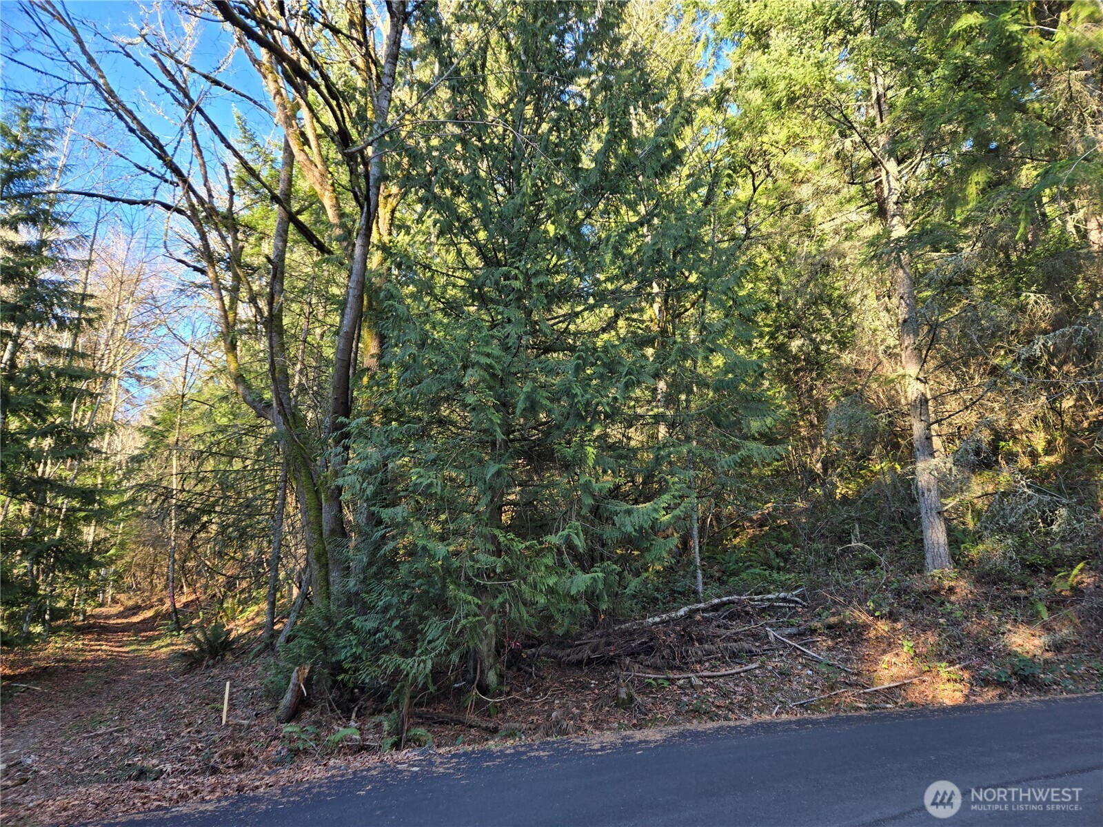 Property Photo: 116 Xx 198th Avenue E WA 98027