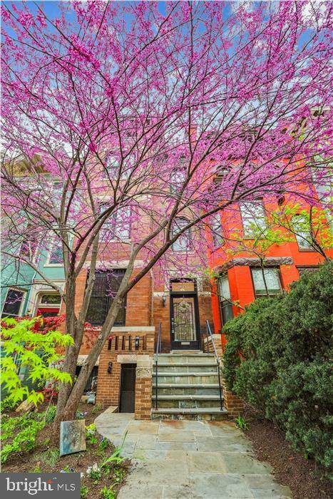 Property Photo:  1943 Biltmore Street NW  DC 20009 
