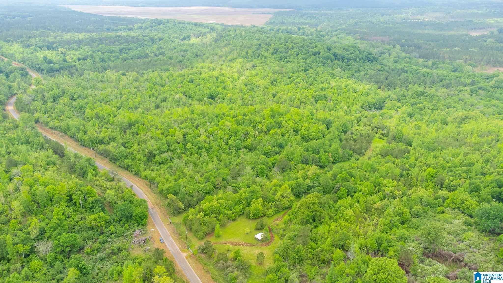 1432 Mardisville Road 0  Talladega AL 35160 photo