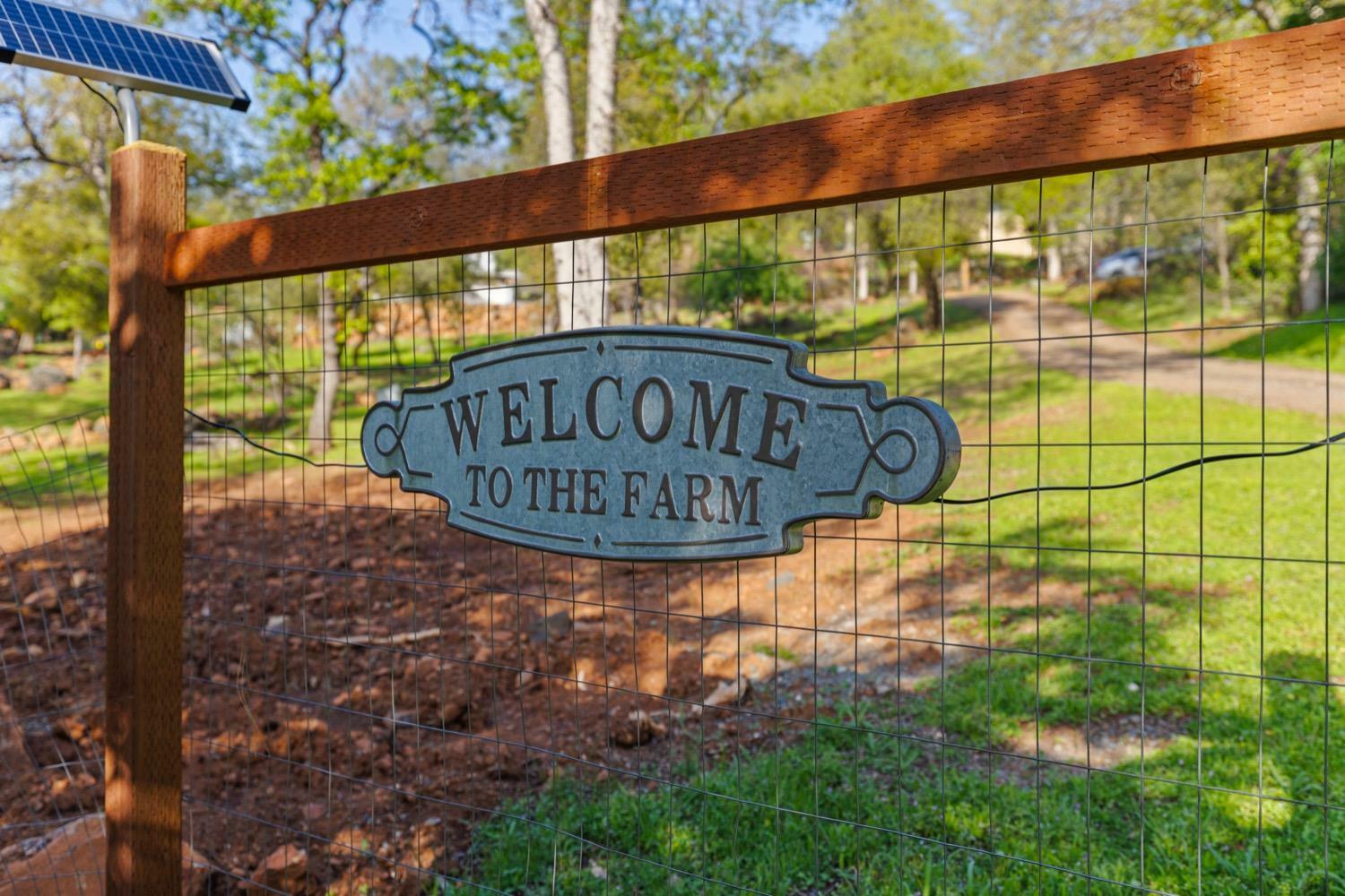 Property Photo: 11080 E Lime Kiln Road CA 95949