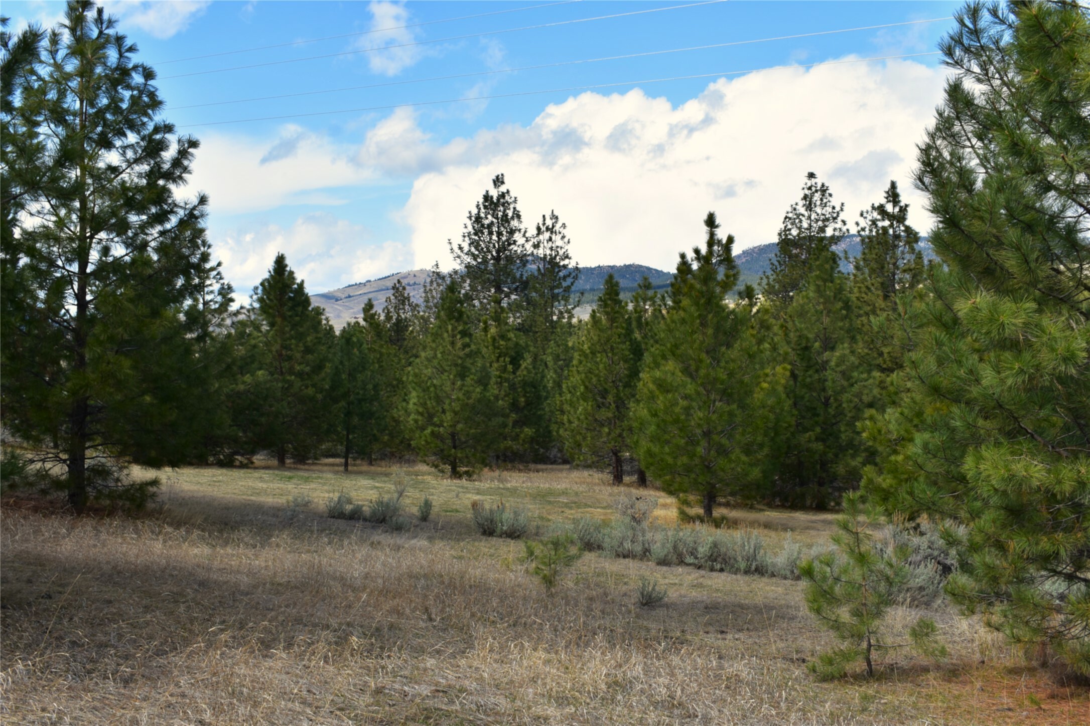 Property Photo: 00 Garnet Lane MT 59833