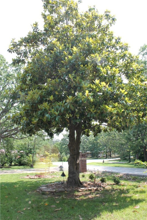Property Photo: 701 Crossbow Road AR 72740