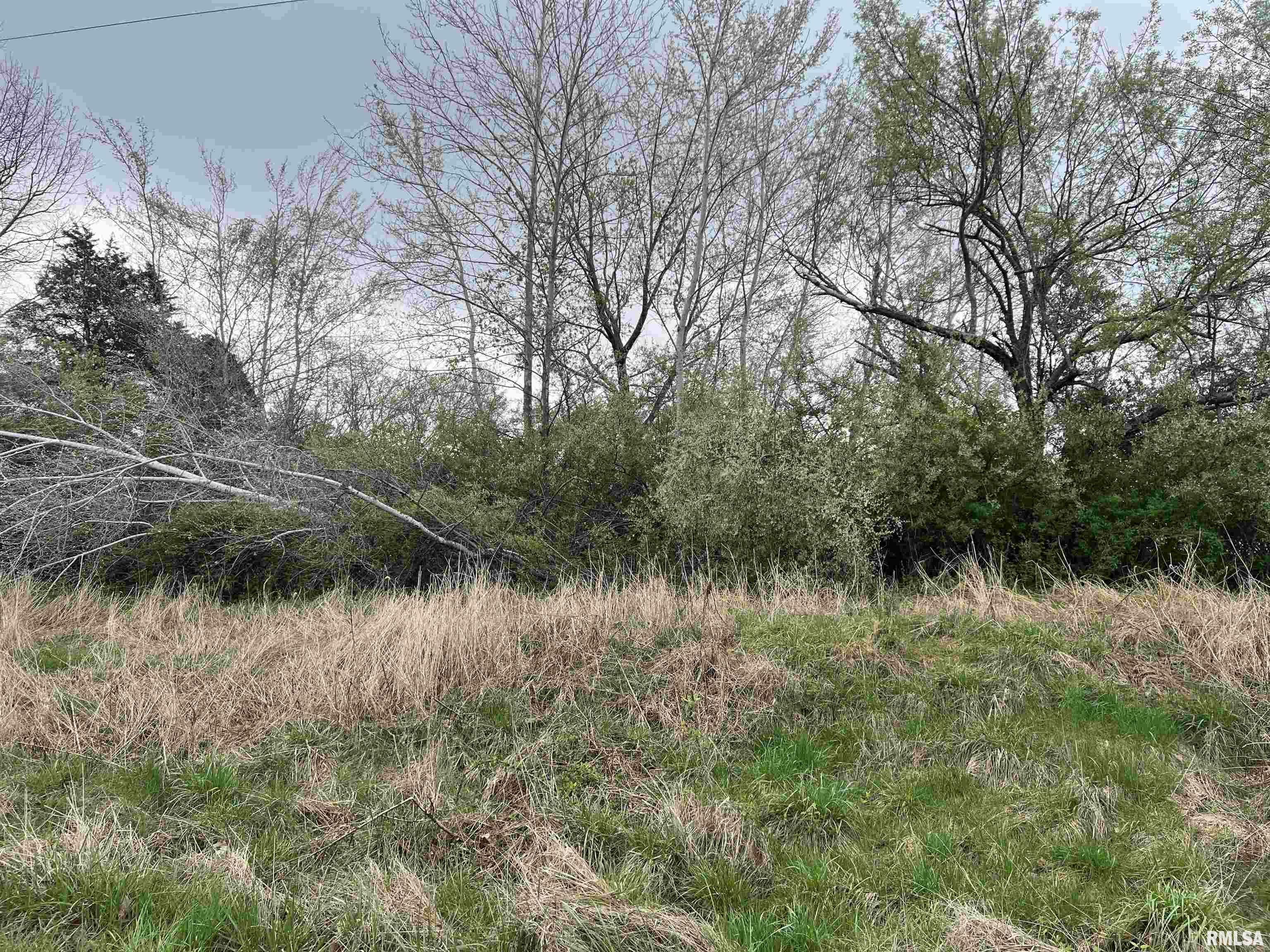 Property Photo: Lot 103 Cherokee Road IL 62939