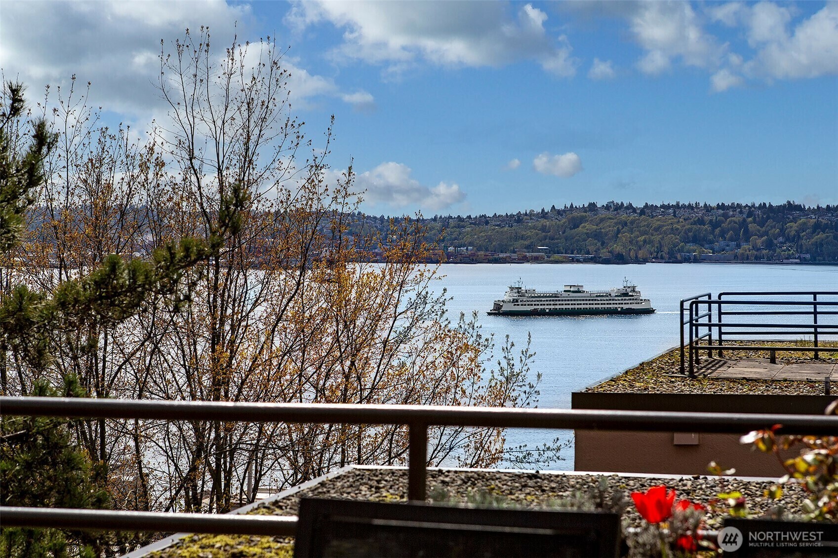 88  Virginia Street 71  Seattle WA 98101 photo