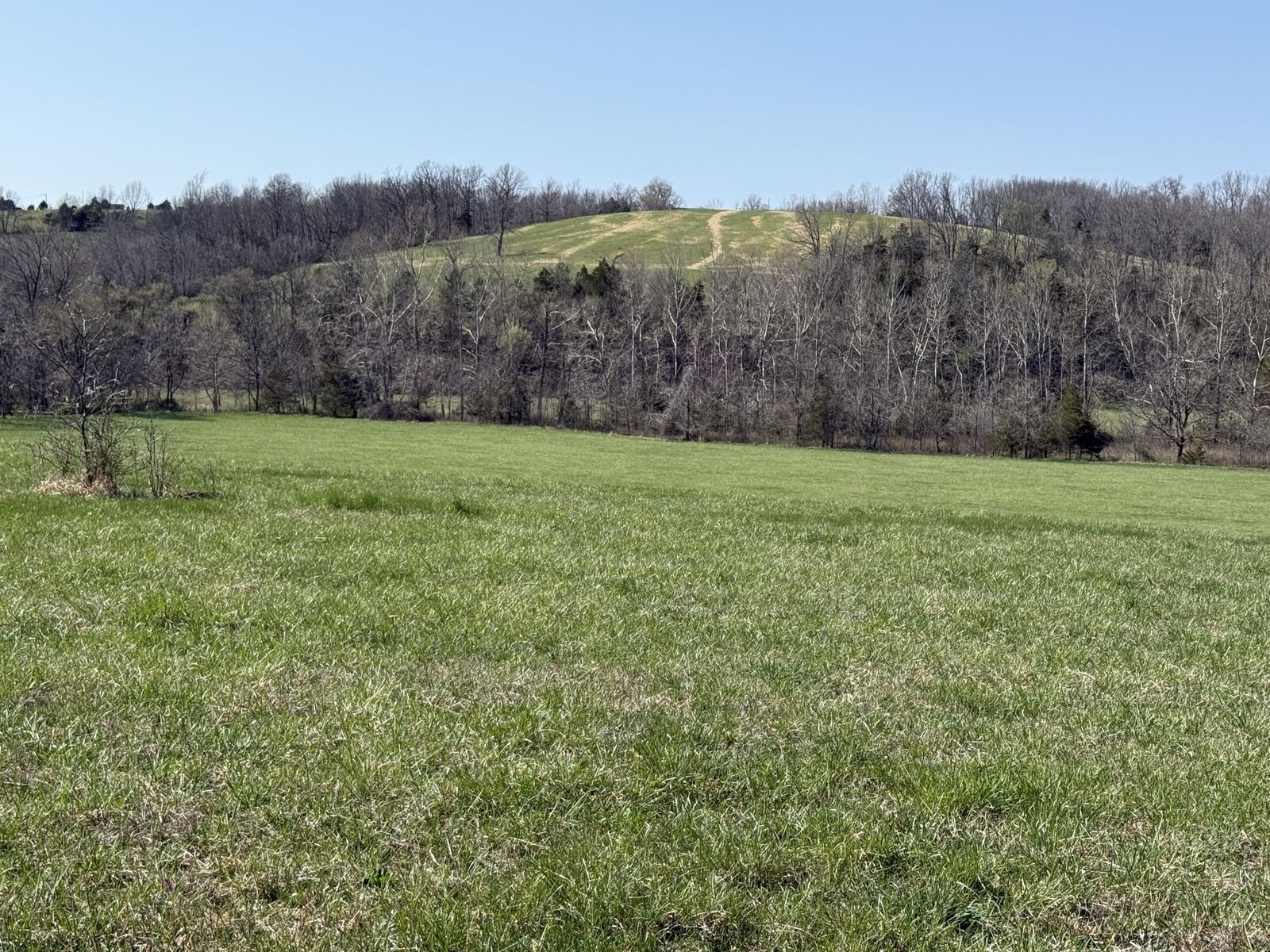 Property Photo:  000 Harmony Road  MO 65746 