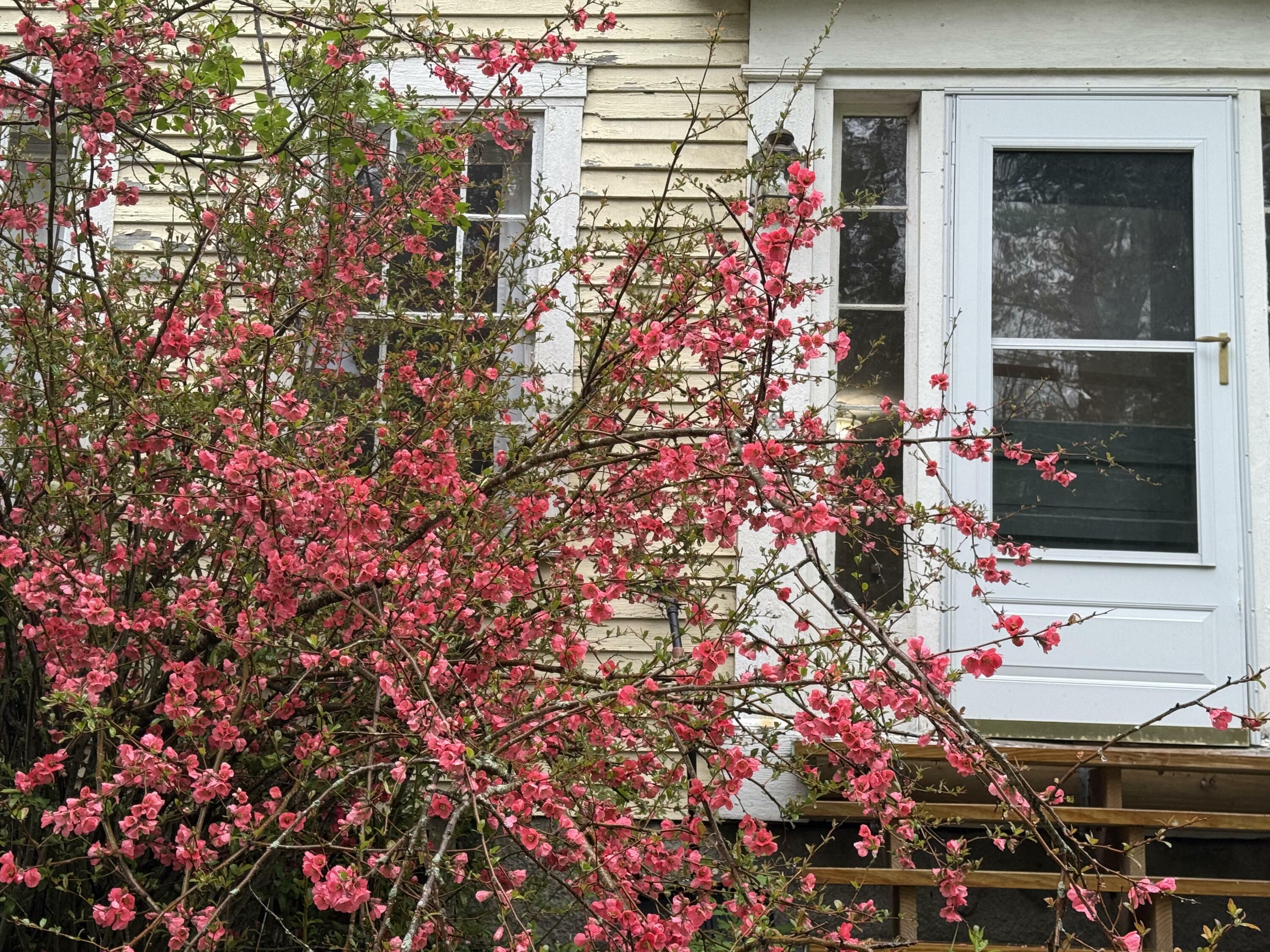Property Photo: 30 Joy Valley Road ME 04093