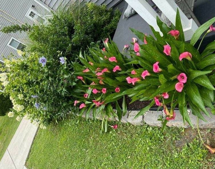 Property Photo: 1204A Keller Ave TN 37216