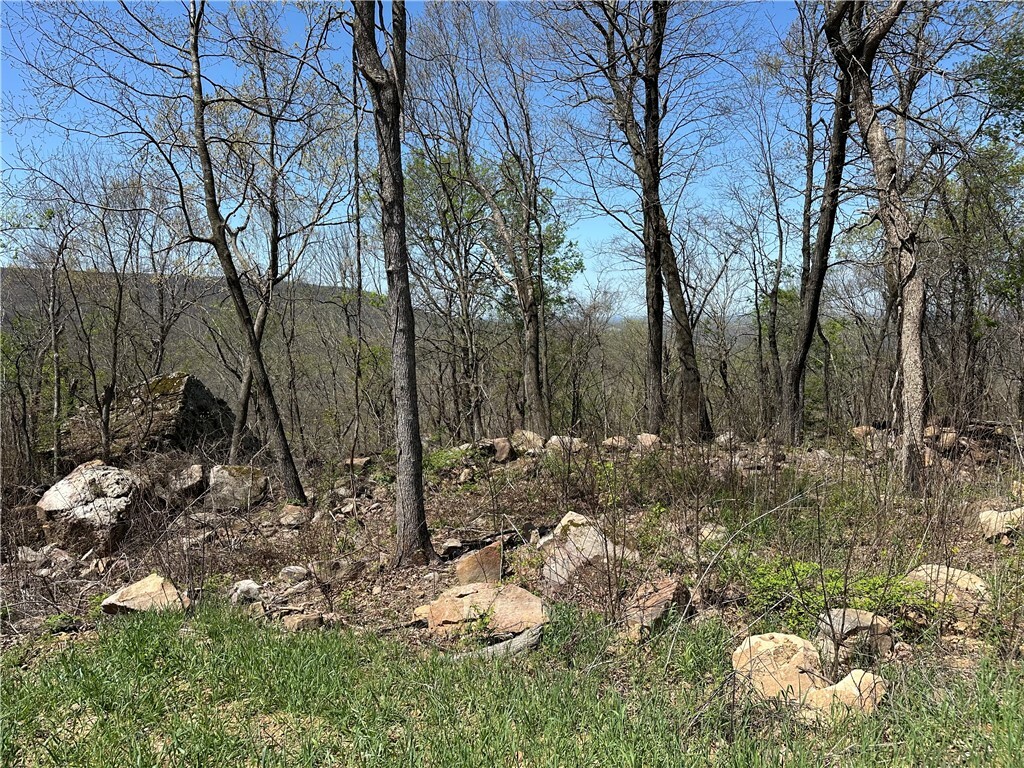Property Photo: Lot 40 Peaceful Place AR 72601
