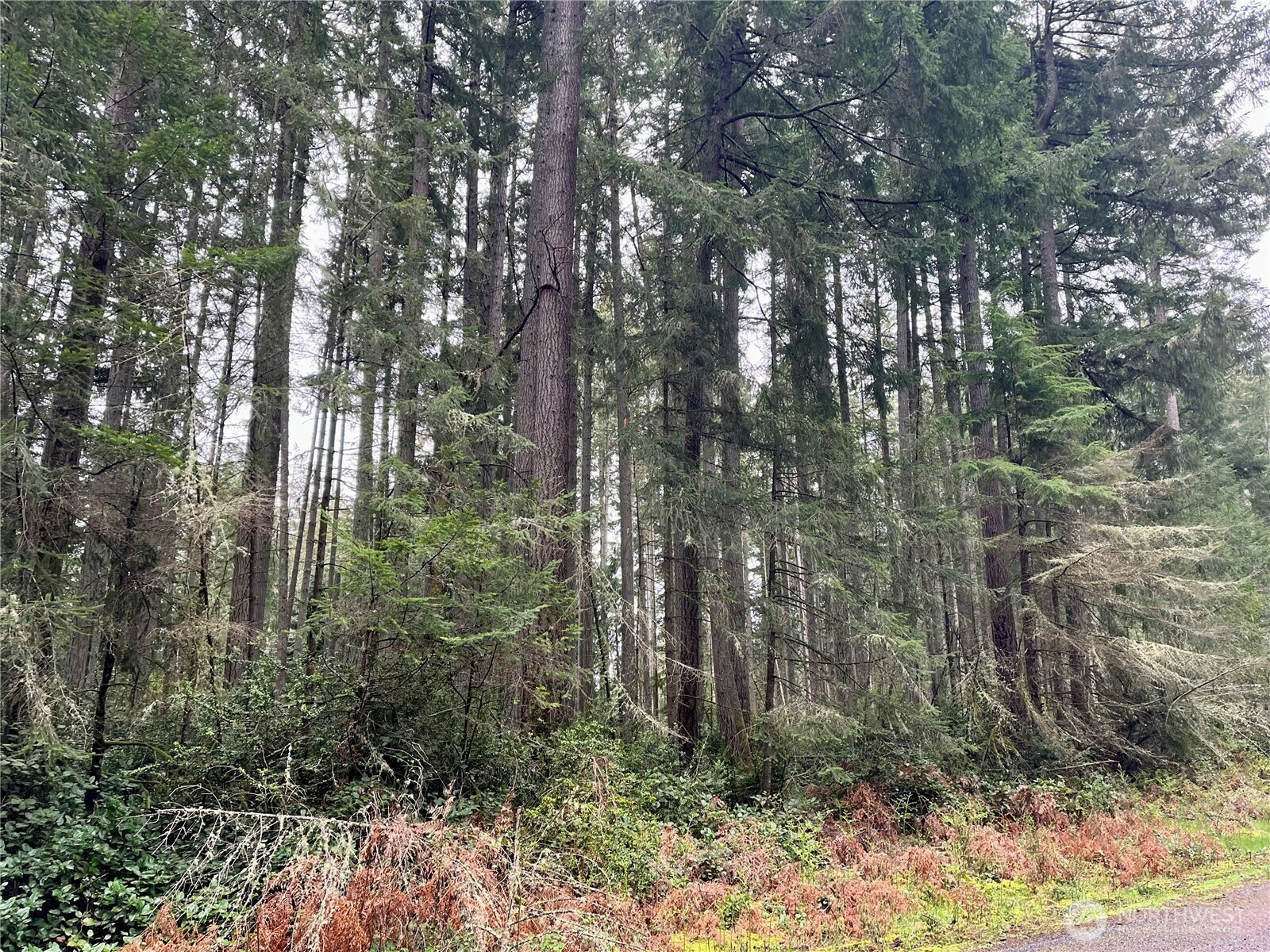Property Photo:  9711  129th Avenue Ct  WA 98303 