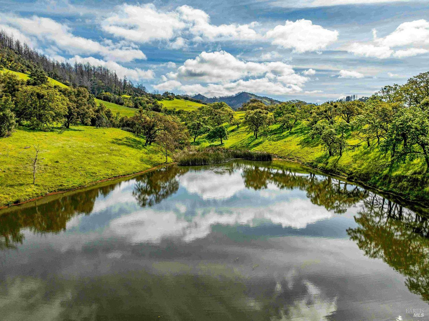 965 Los Alamos Road  Santa Rosa CA 95409 photo