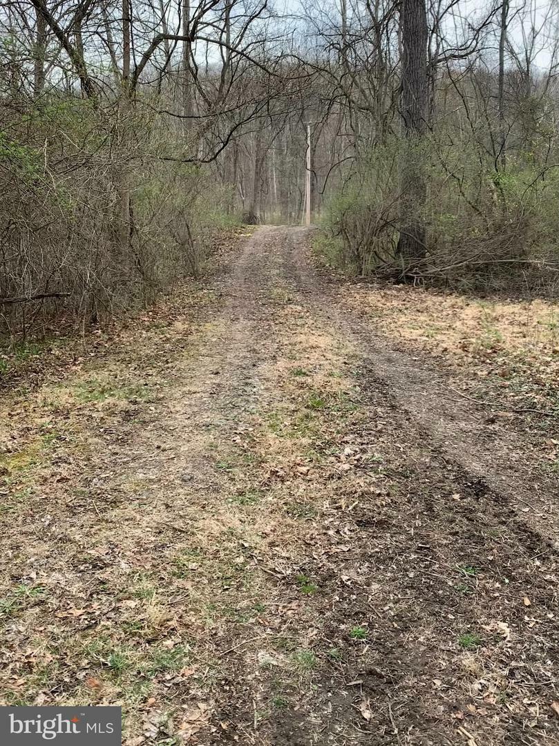 Property Photo:  Low Line Road Pt Tract 7  WV 25422 