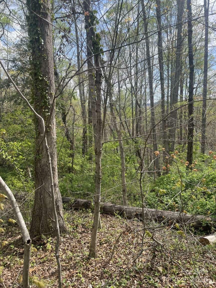 Property Photo: 151 Richmond Ridge Road NC 28806