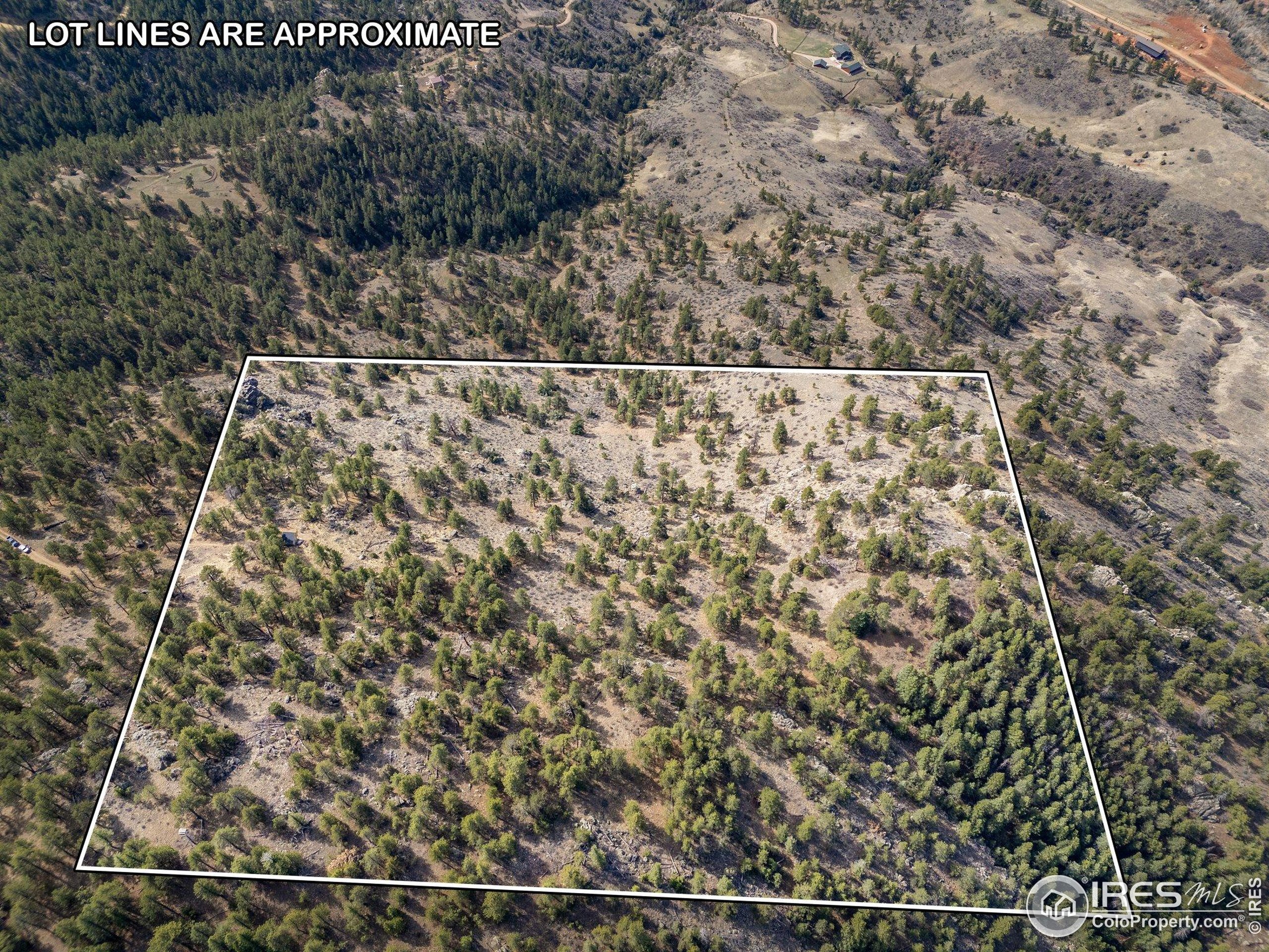 Property Photo: 9316 Tawny Lynx Rd CO 80538