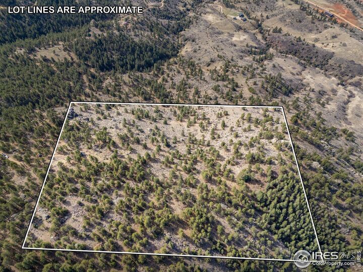 Property Photo:  9316 Tawny Lynx Rd  CO 80538 