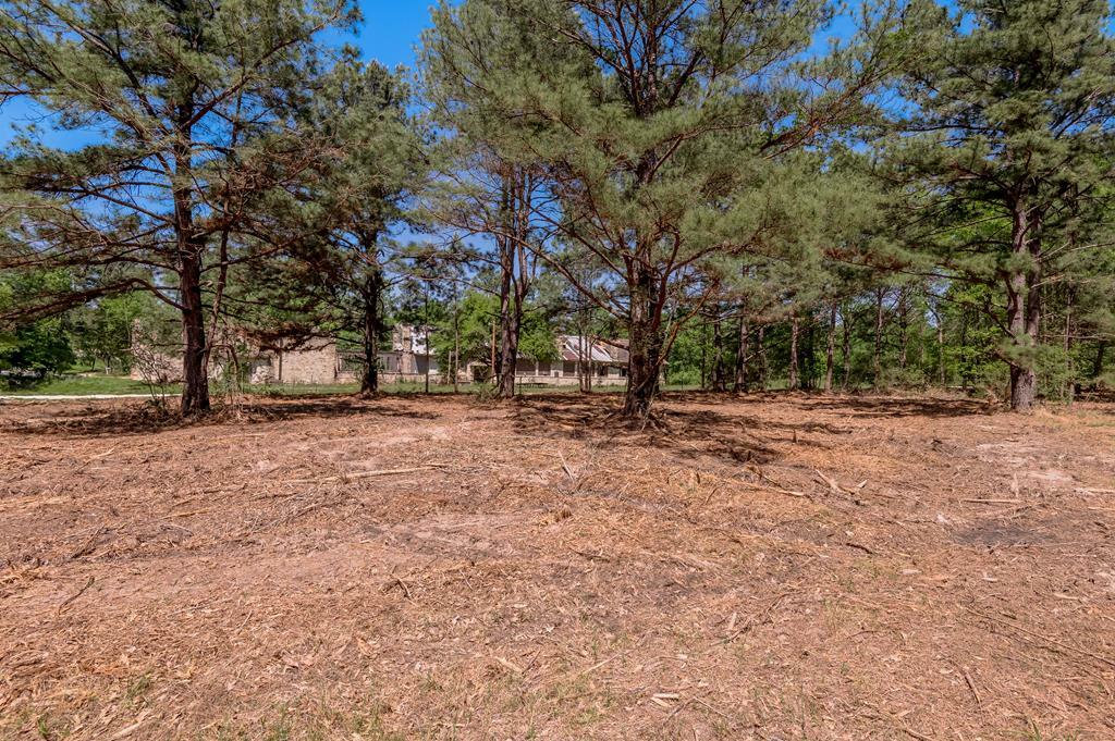 6077 Tract 3 Cr 4200  Pennington TX 75856 photo